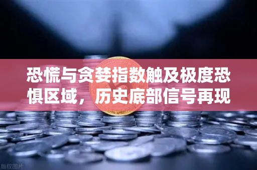 恐慌与贪婪指数触及极度恐惧区域，历史底部信号再现？一文看懂当前市场真相