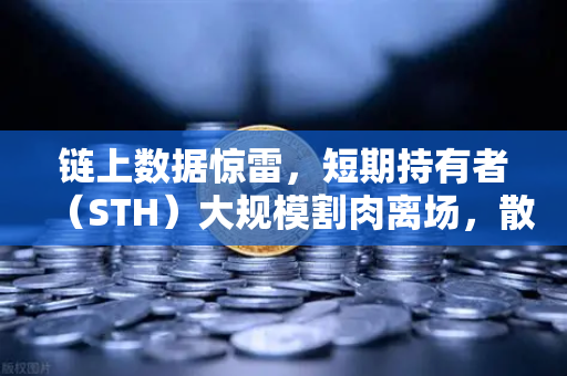 链上数据惊雷，短期持有者（STH）大规模割肉离场，散户该抄底还是逃命？